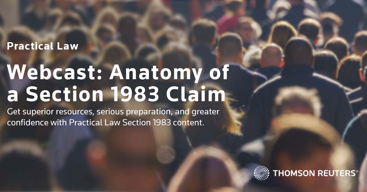 THE ULTIMATE GUIDE TO SECTION 1983 LAWSUITS HOLDING GOVERNMENT visual data 8